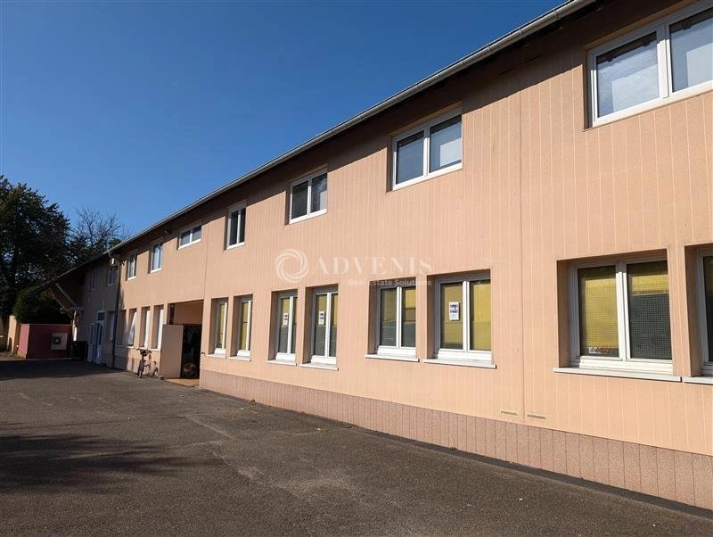 Maison à louer, 420m², Wolfisheim