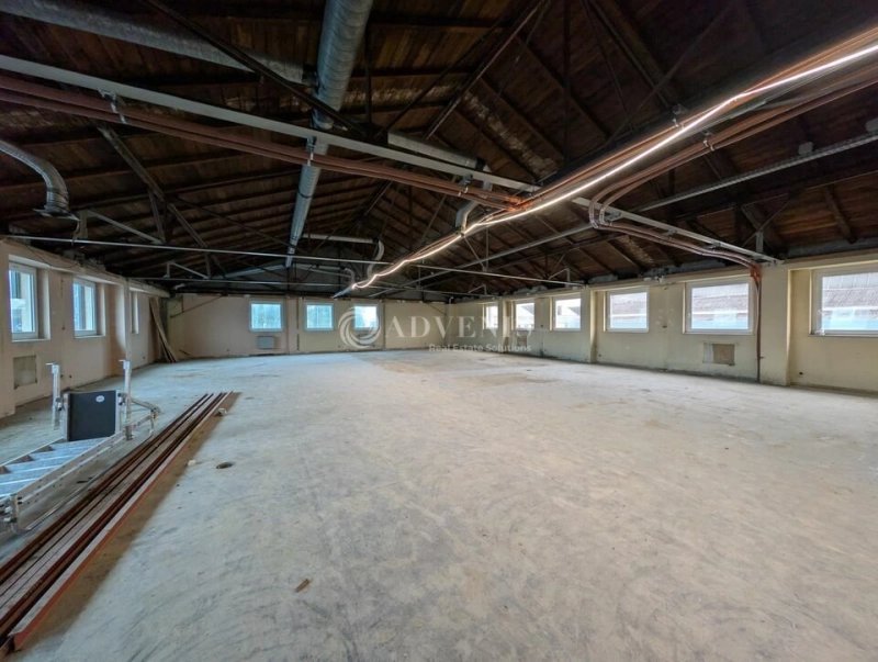 Maison à louer, 1000m², Strasbourg