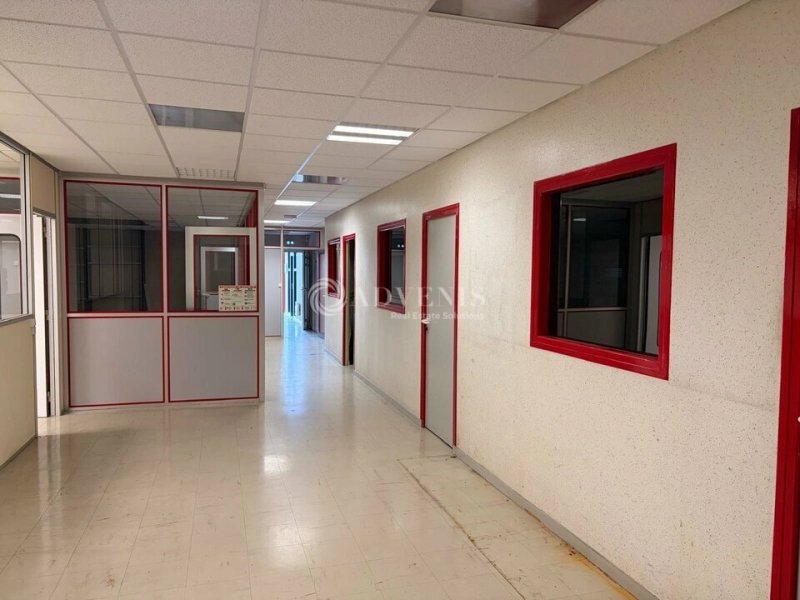 Maison à louer, 631m², Saint-Martin-le-Beau