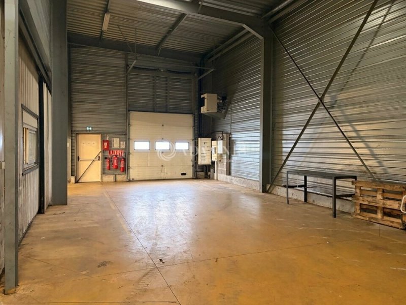 Maison à louer, 631m², Saint-Martin-le-Beau