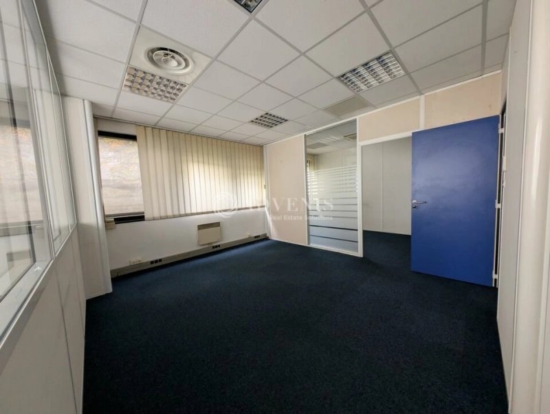 Maison à louer, 361m², Strasbourg