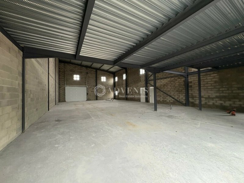 Maison à louer, 358m², Maraussan
