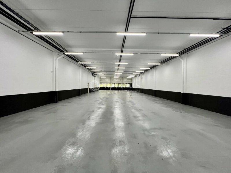 Maison à louer, 597m², Cergy