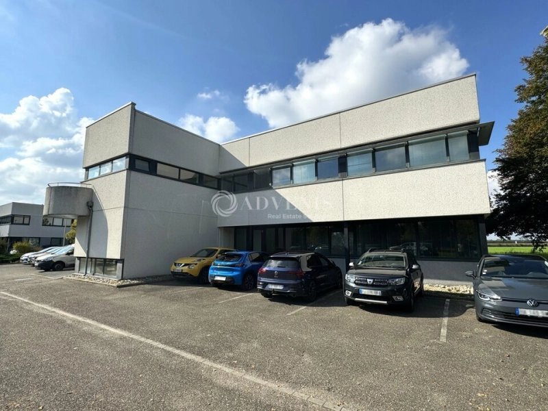 Maison à louer, 462m², Entzheim