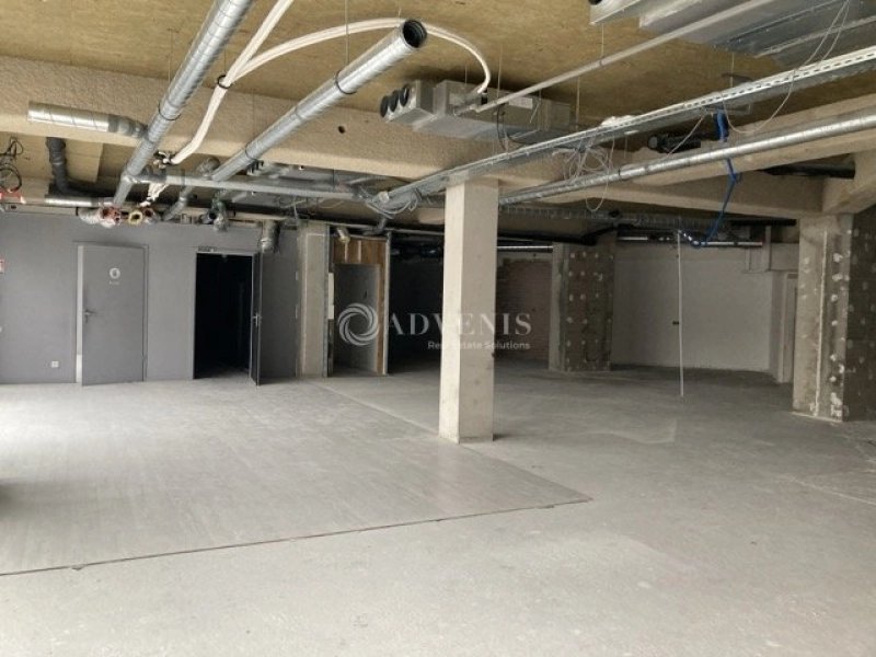 Maison à louer, 369m², Nancy