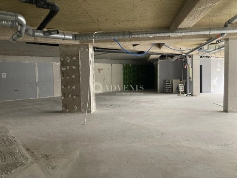 Maison à louer, 369m², Nancy