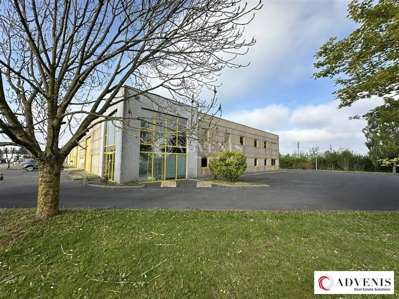 Maison à louer, 720m², Templemars