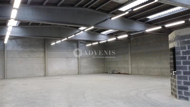 Maison à louer, 720m², Templemars