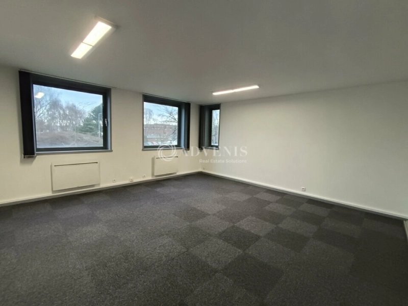 Maison à louer, 352m², Villeneuve-d'Ascq