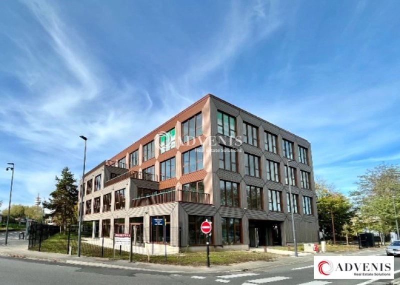 Maison à louer, 260m², Villeneuve-d'Ascq