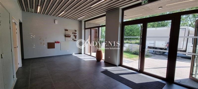 Maison à louer, 260m², Villeneuve-d'Ascq
