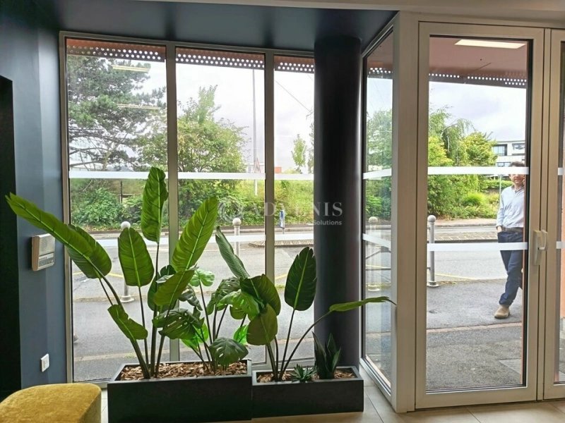 Maison à louer, 527m², Villeneuve-d'Ascq