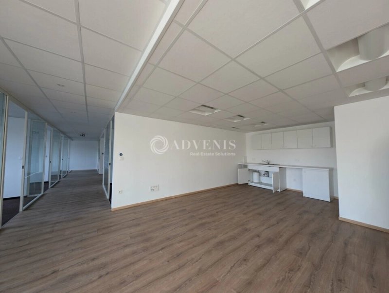 Maison à louer, 363m², Strasbourg