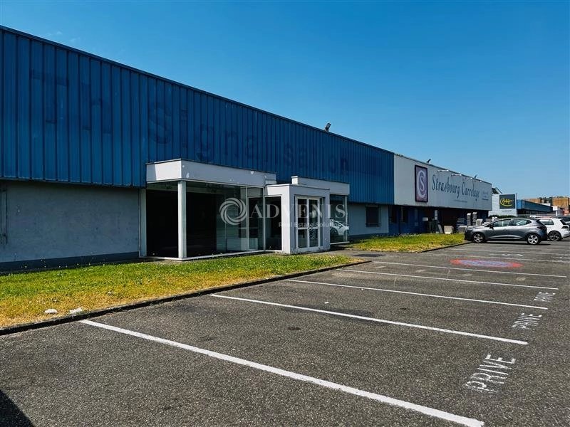 Maison à louer, 550m², Strasbourg