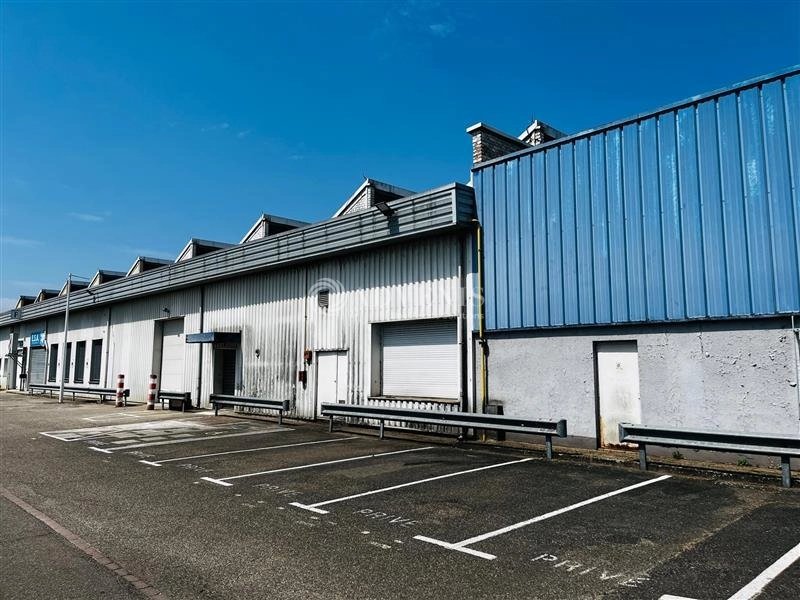 Maison à louer, 550m², Strasbourg