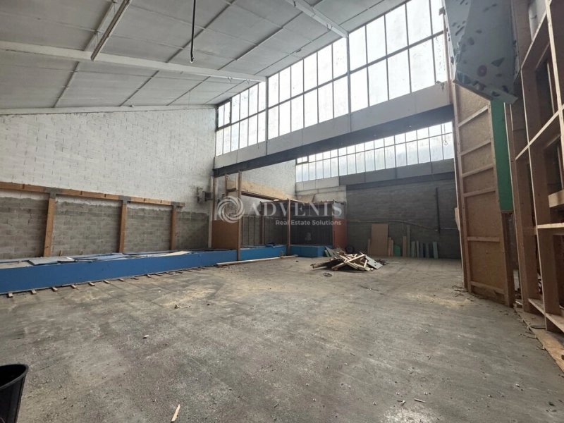Maison à louer, 550m², Strasbourg