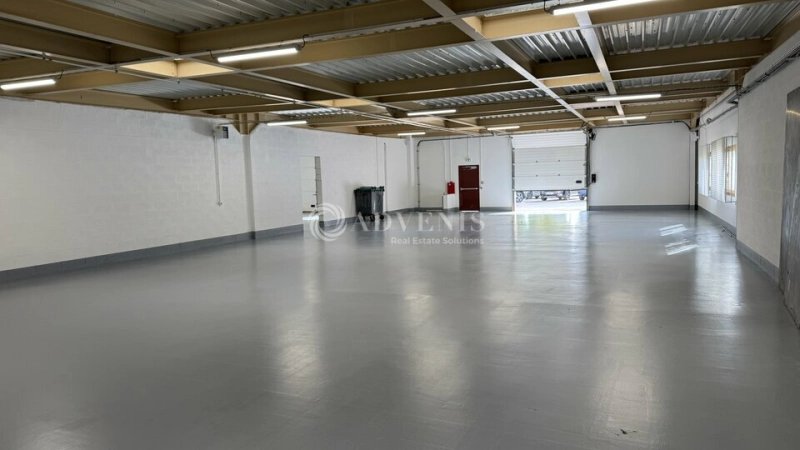 Maison à louer, 300m², Croissy-Beaubourg