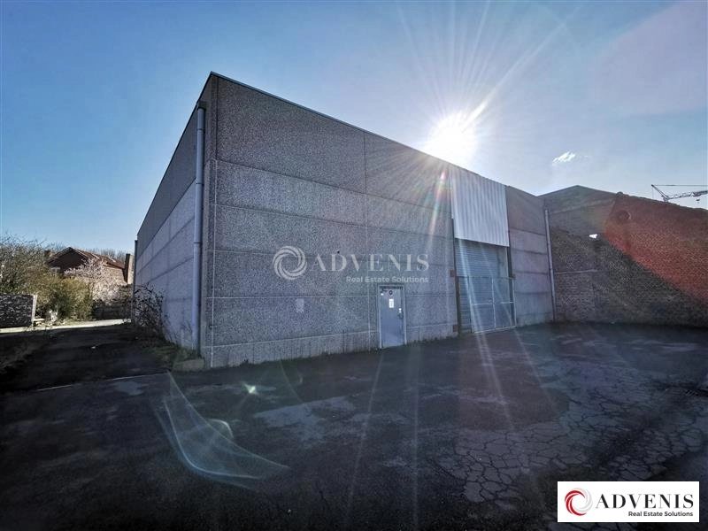 Maison à louer, 500m², Hem