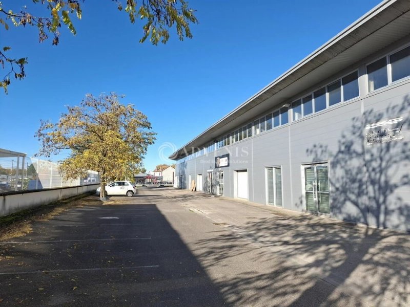 Maison à louer, 1117m², Nancy