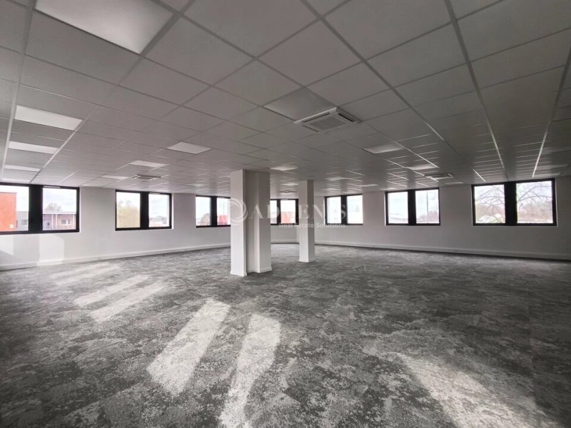 Maison à louer, 420m², Villeneuve-d'Ascq