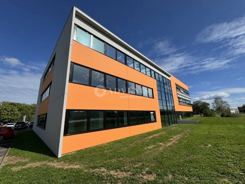 Maison à louer, 364m², Entzheim