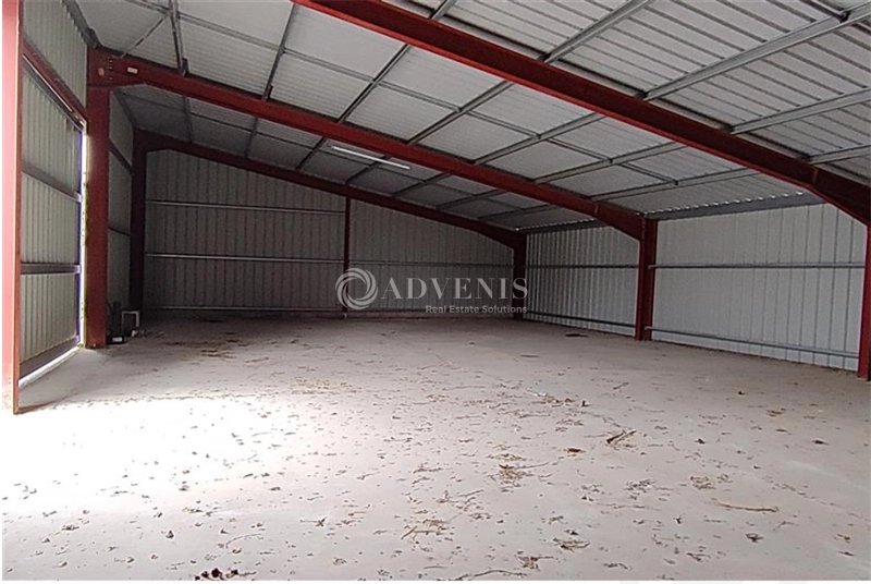 Maison à louer, 400m², Villeneuve-lès-Béziers