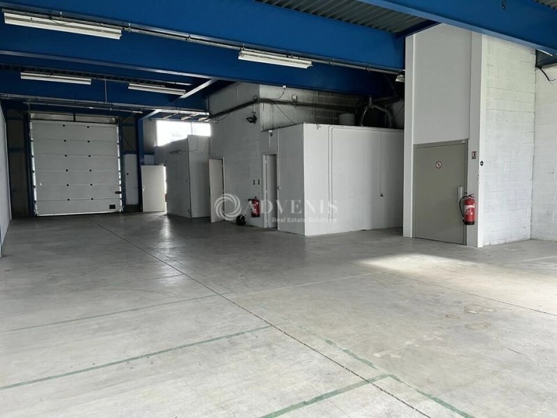 Maison à louer, 398m², Vitry-sur-Seine