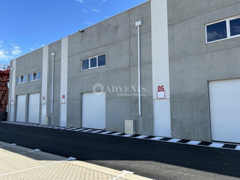 Maison à louer, 200m², Vic-la-Gardiole