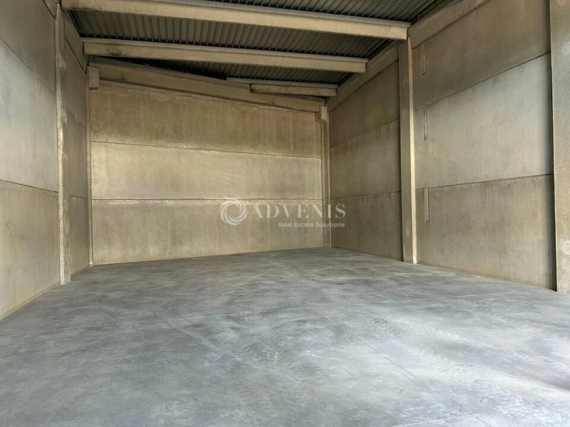 Maison à louer, 200m², Vic-la-Gardiole
