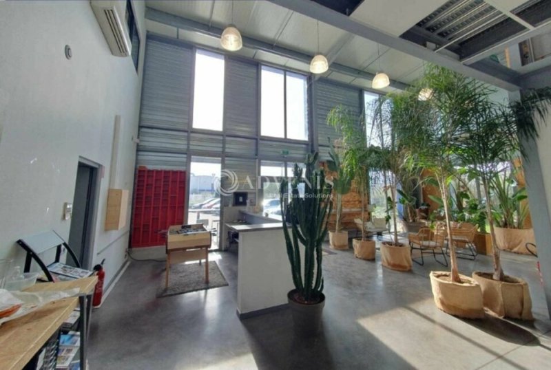 Maison à louer, 631m², Lunel-Viel