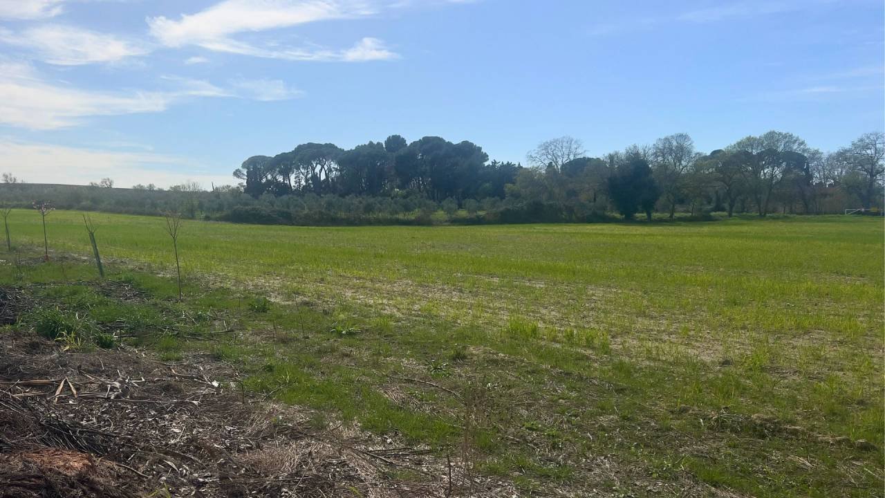 Maison à vendre, 40000m², Béziers