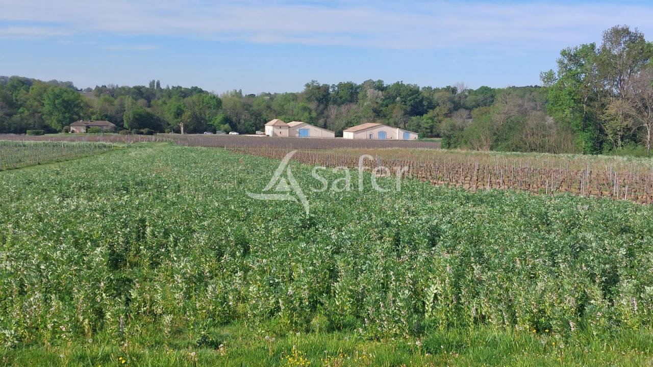 Maison à vendre, 194m², Saint-Émilion
