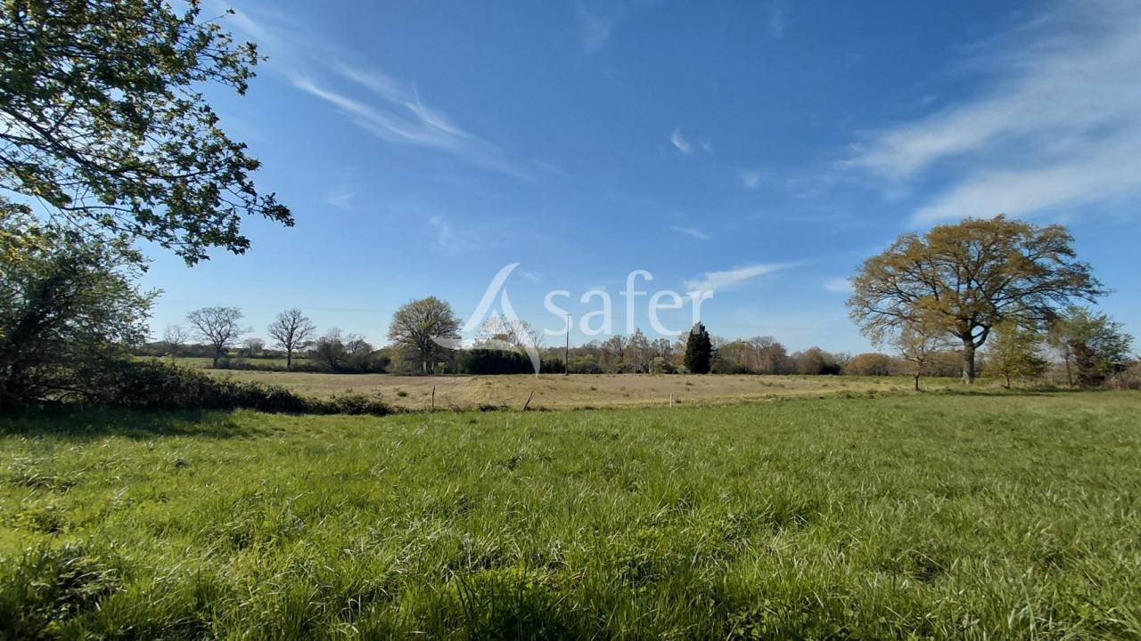 Maison à vendre, 86m², Millac