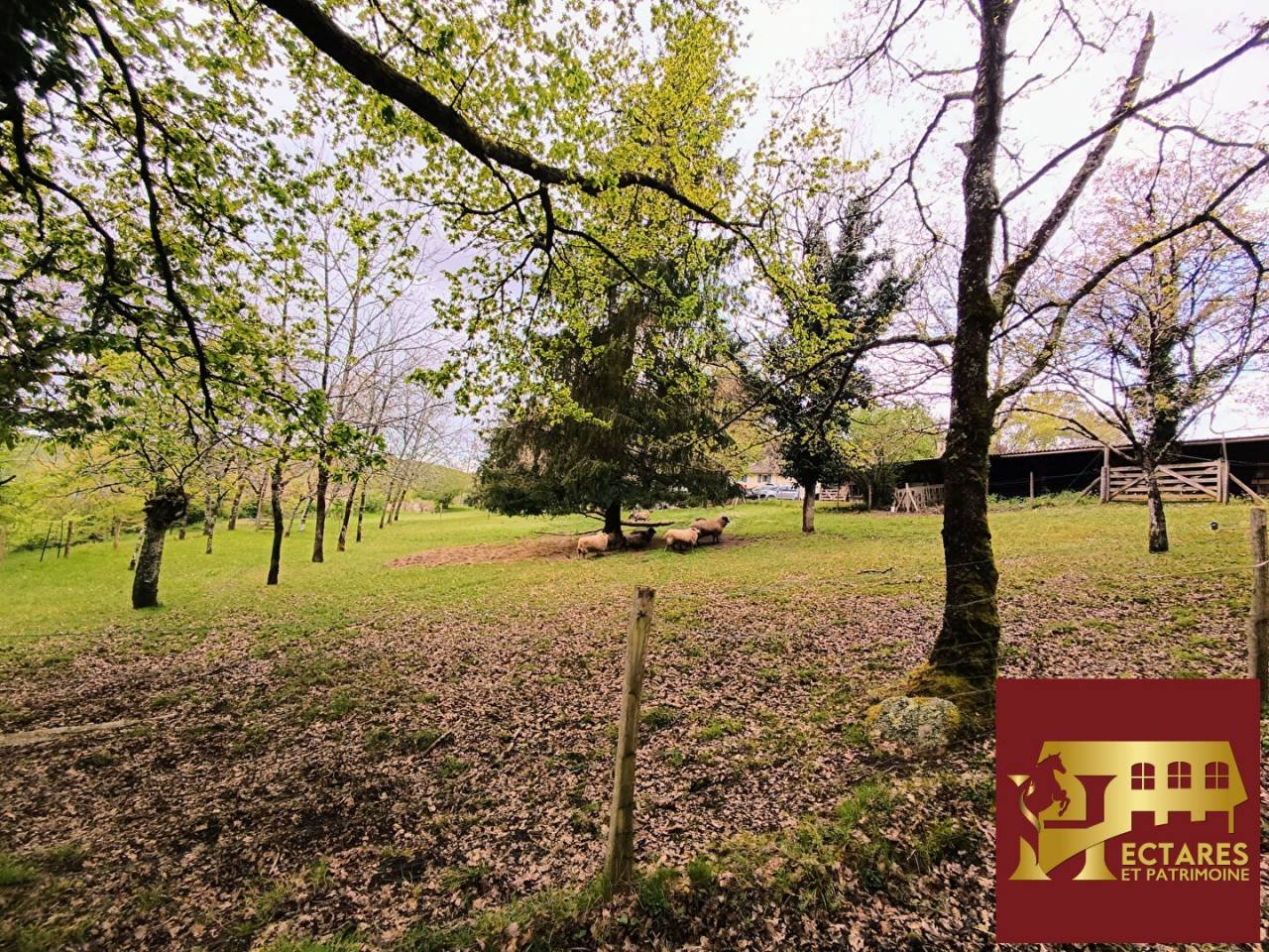 Maison à vendre, 325m², Lamonzie-Montastruc