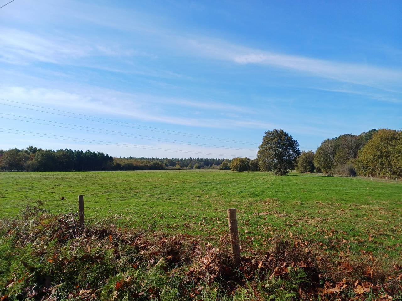 Maison à vendre, 260m², Montpon-Ménestérol