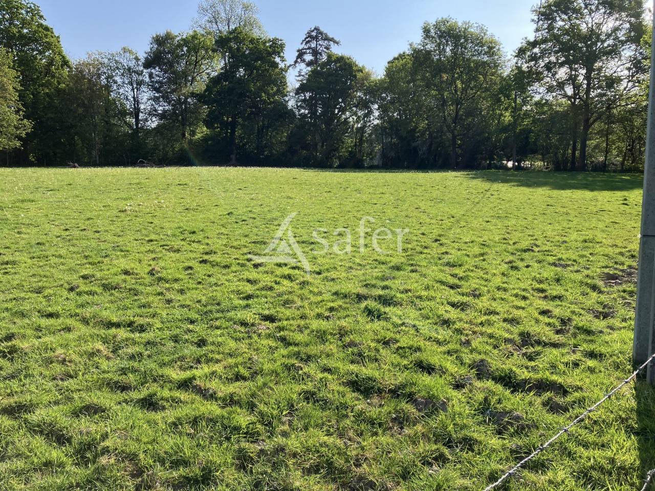 Maison à vendre, 60000m², Ernée