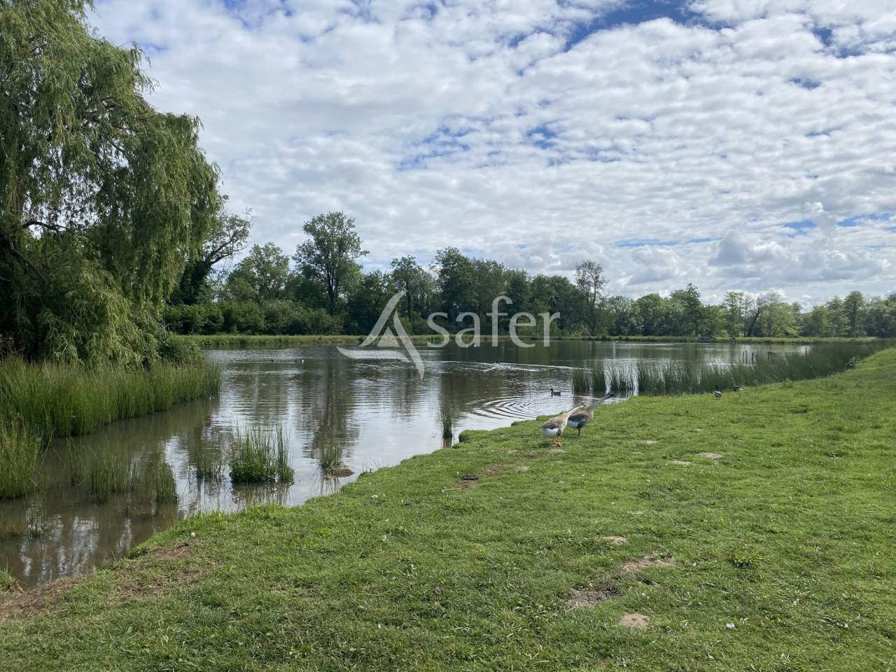 Maison à vendre, 590m², Châtillon-sur-Chalaronne