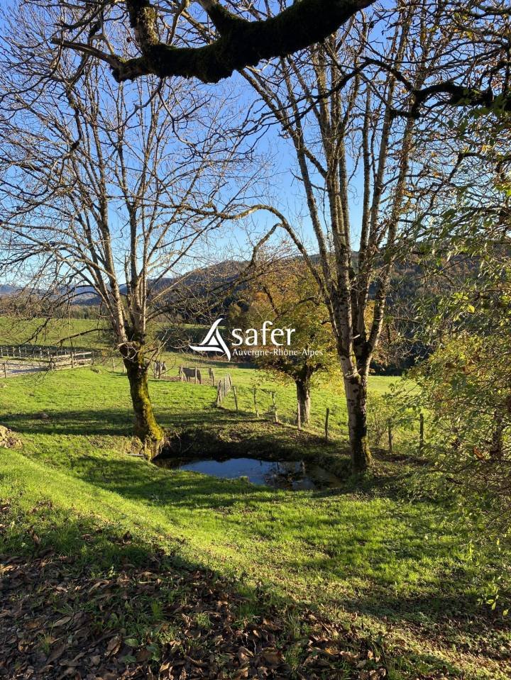 Maison à vendre, 220m², Courpière