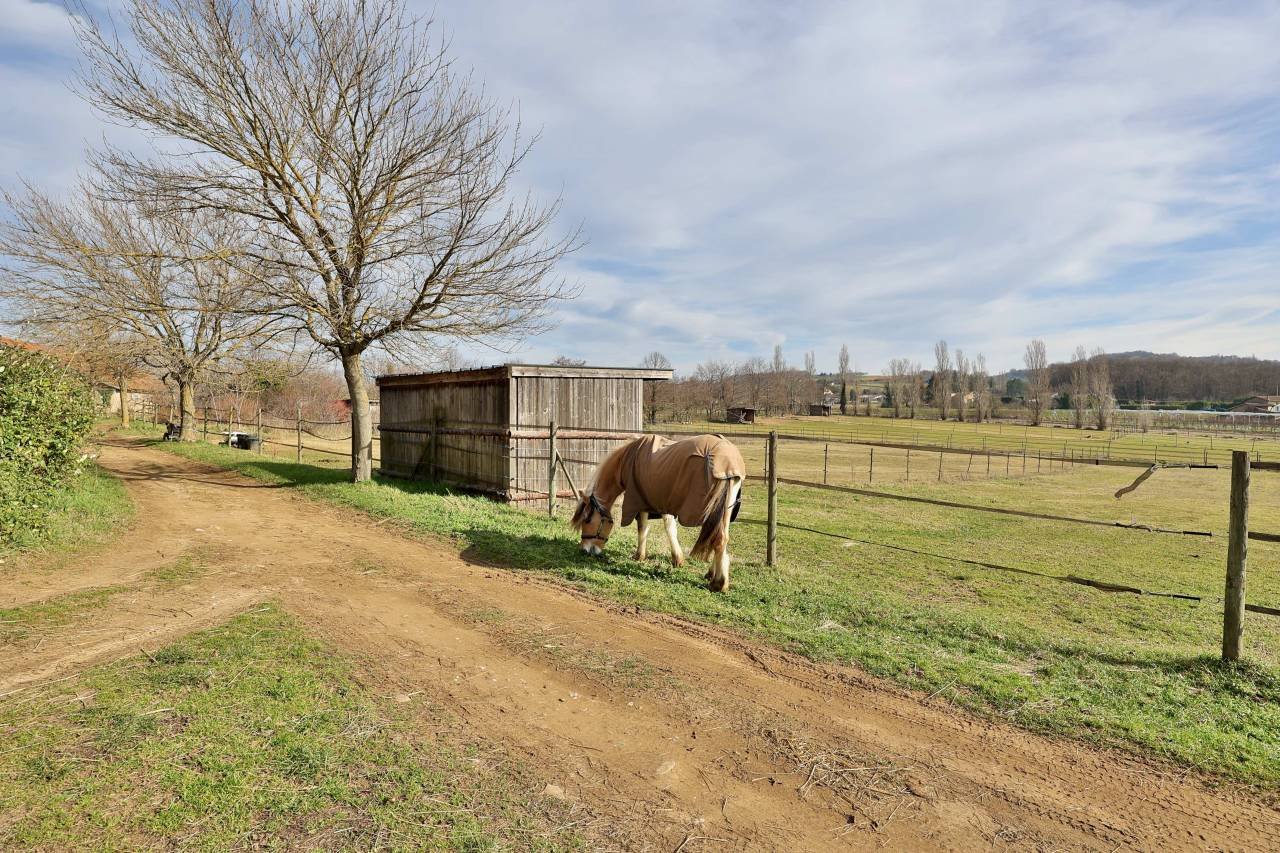 Maison à vendre, 250m², Romans-sur-Isère