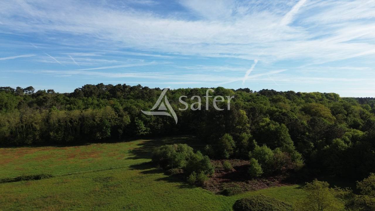Maison à vendre, 260m², Montpon-Ménestérol