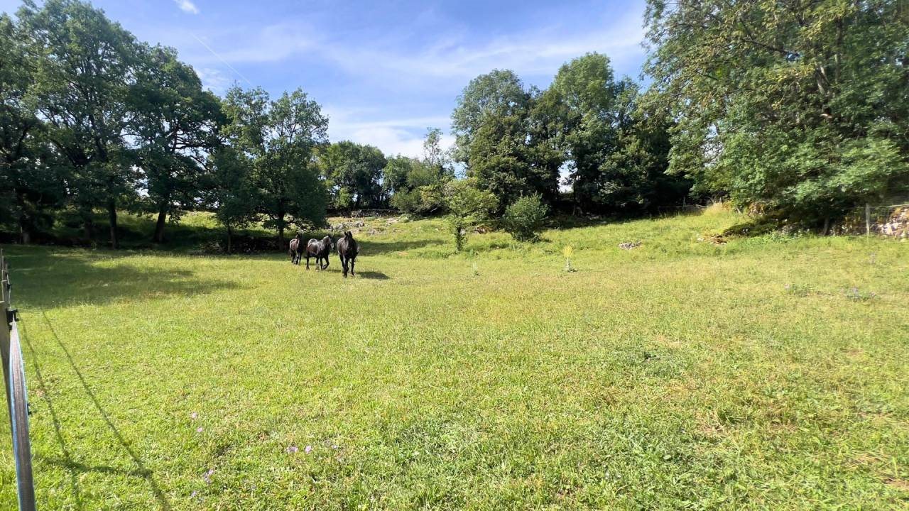 Maison à vendre, 395m², Rocamadour