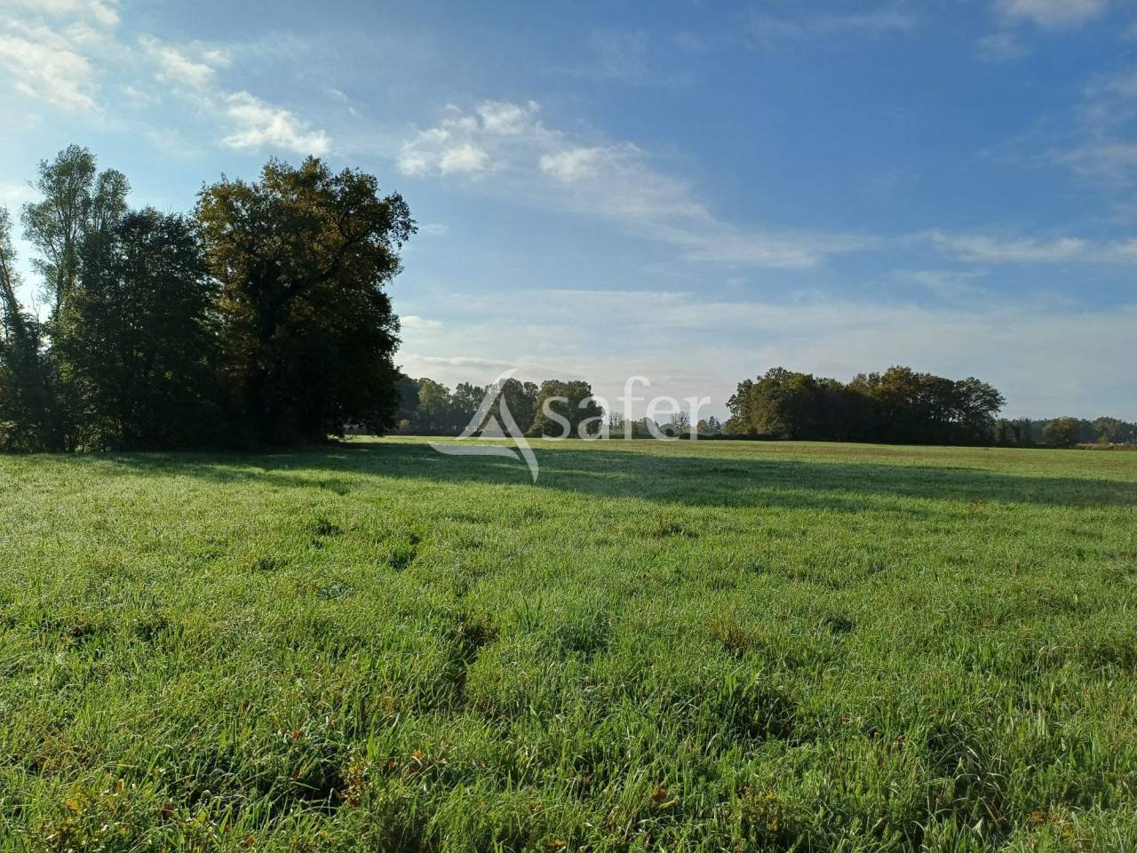 Maison à vendre, 265m², Montendre