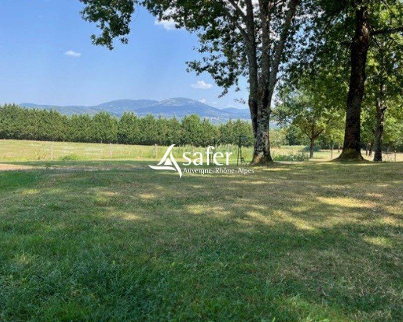 Maison à vendre, 380m², Courpière