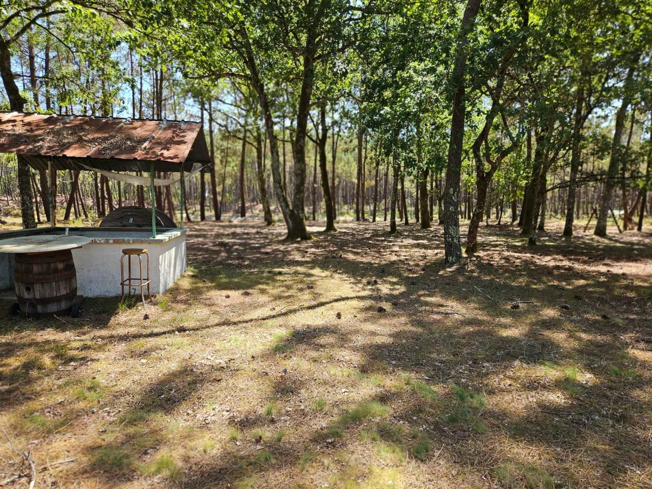 Maison à vendre, 200m², La Brède