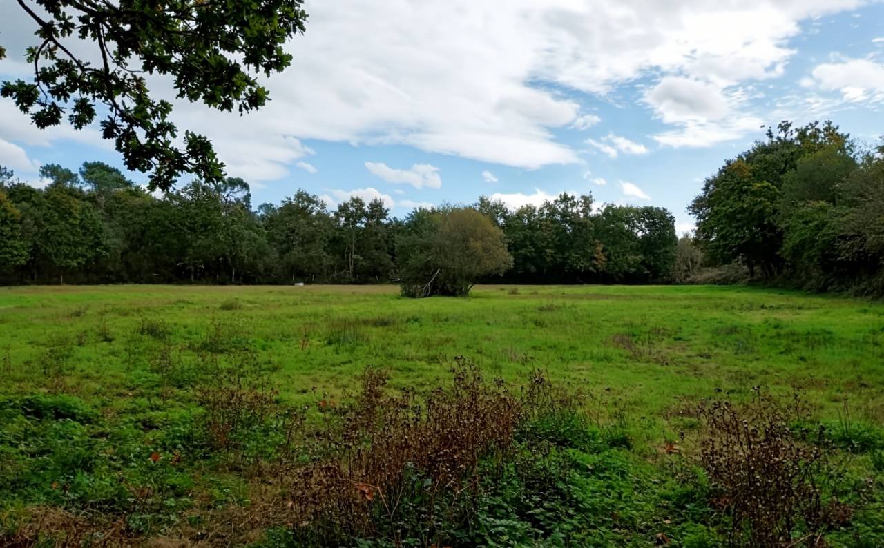 Maison à vendre, 246m², Lessay
