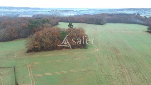Advert pic 0