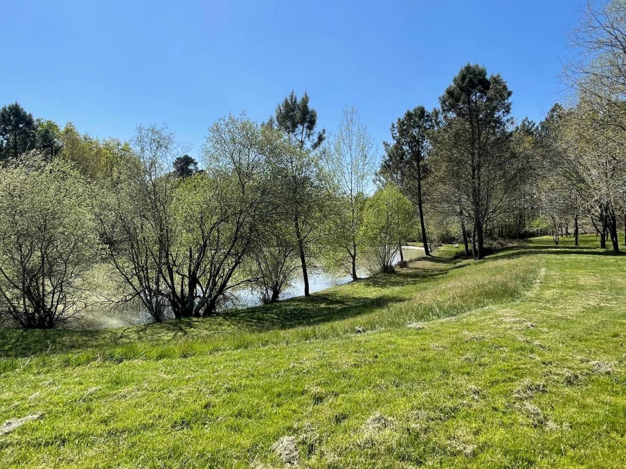 Maison à vendre, 172m², Montpon-Ménestérol