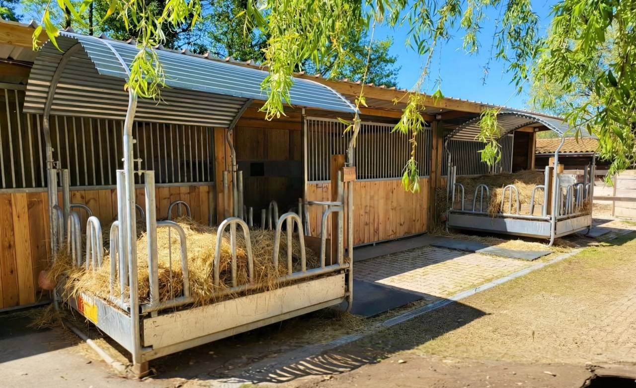 Maison à vendre, 378m², Marboz