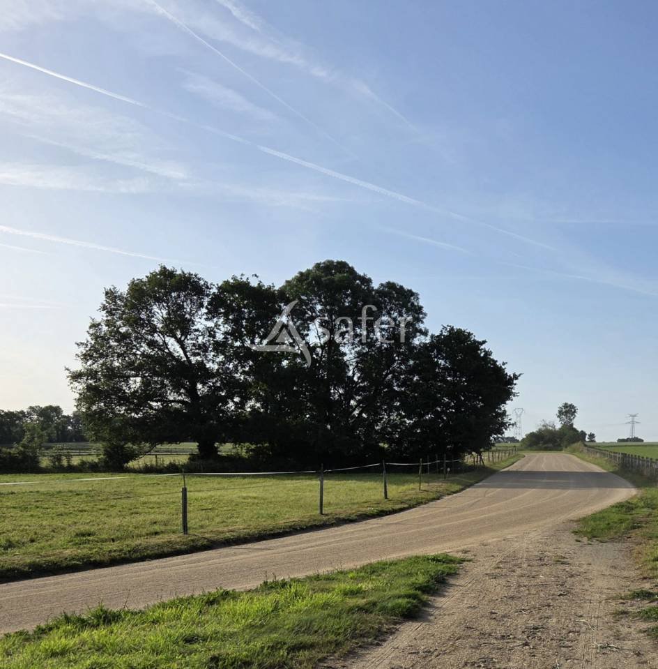 Maison à vendre, 40000m², Saint-Denis-la-Chevasse