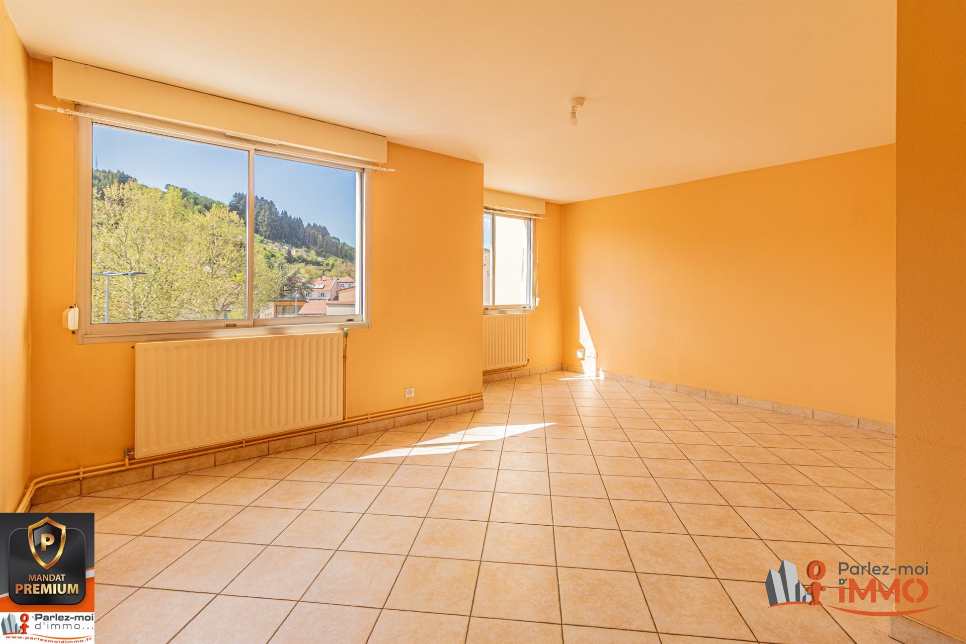 Appartement à vendre, 71m², Tarare
